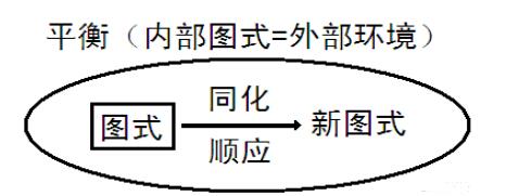 皮亚杰的相关理论——养儿不识皮亚杰，便称慈父也枉然